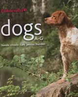 (4) Procter and Gamble International Operations SA: DOGS – hunde – chiens – cani – perros – honden.