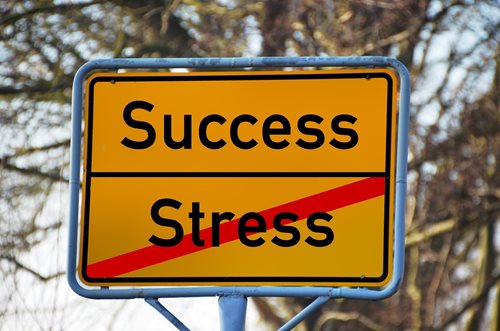 PŮLDENNÍ WORKSHOP NA TÉMA: MUSÍ NÁS TLUMOČENÍ STRESOVAT?