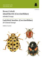 (31)	Nedvěd, Oldřich: BROUCI ČELEDI SLUNÉČKOVITÍ
